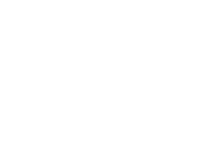 Emery Sapp & Sons Logo